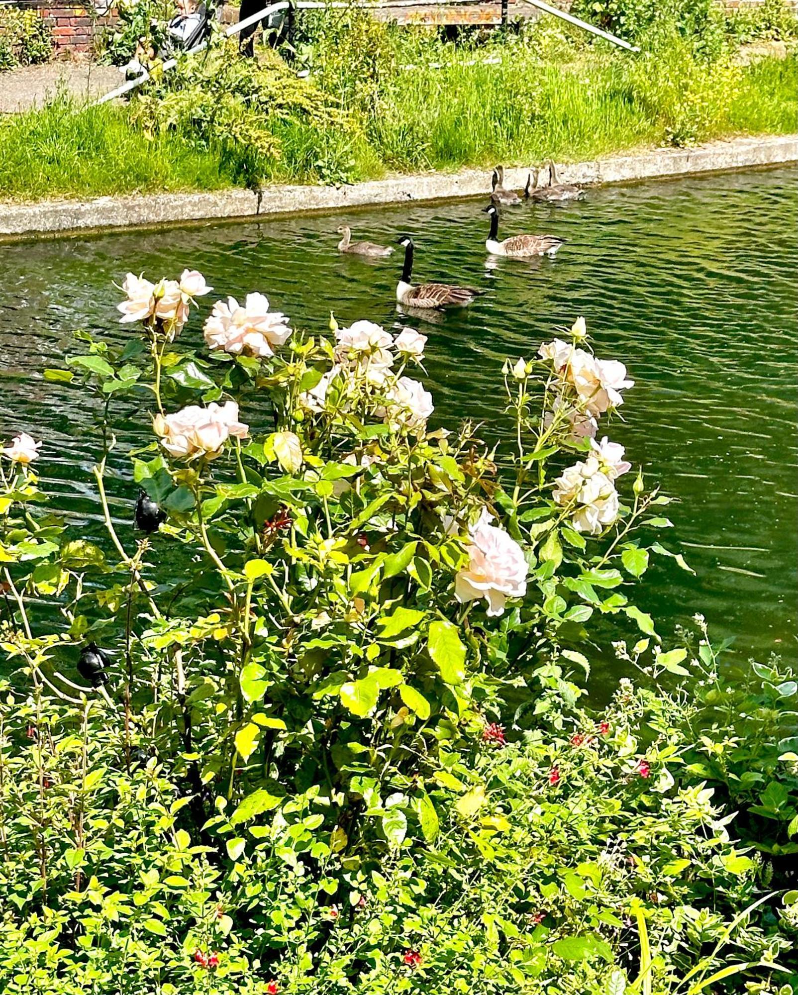 Amazing Location - City Of London- 2 Bedroom Stunning Canal View House With Private Garden,Parking & Balcony エクステリア 写真